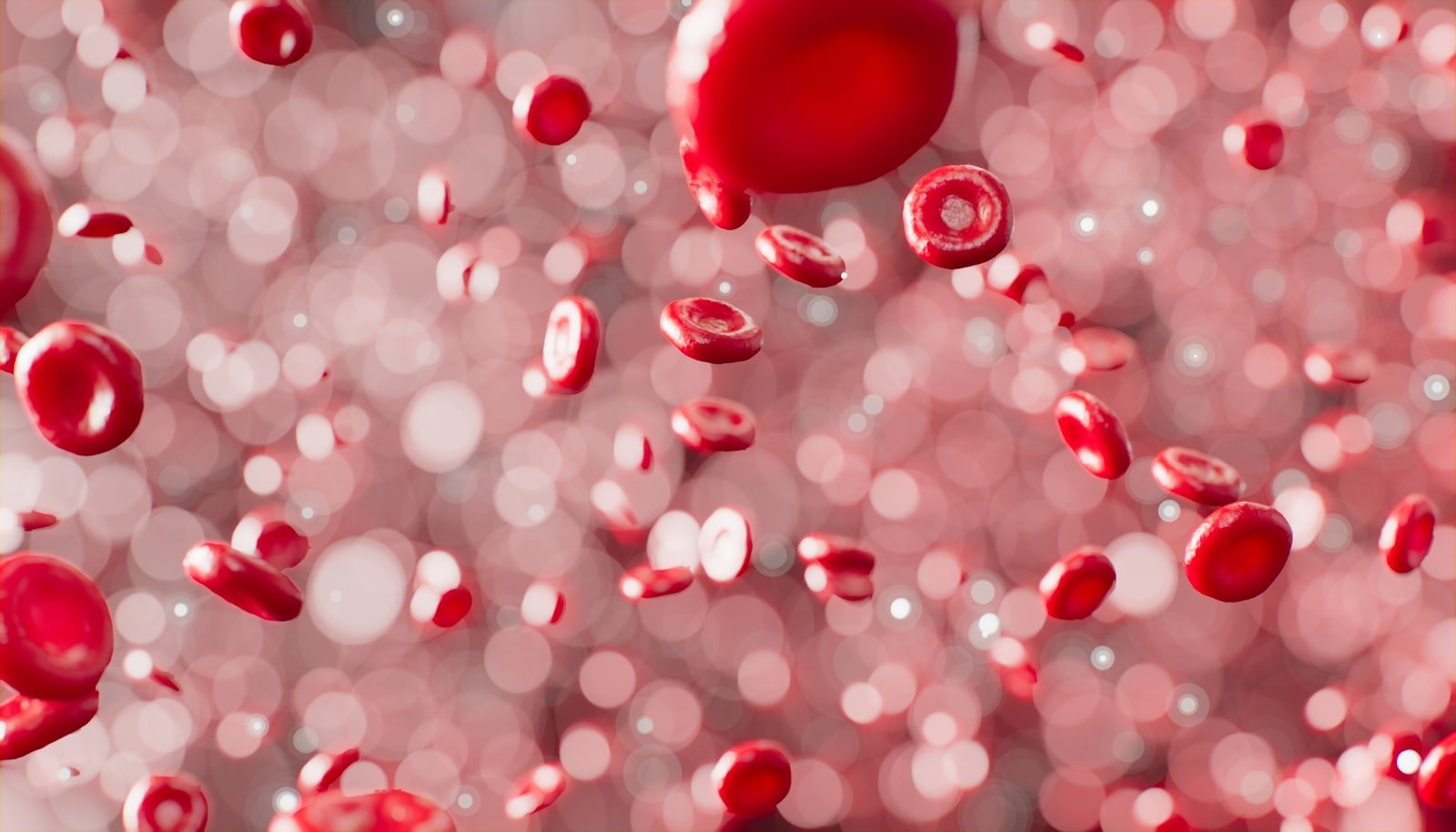 Blood cells viewed under a microscope