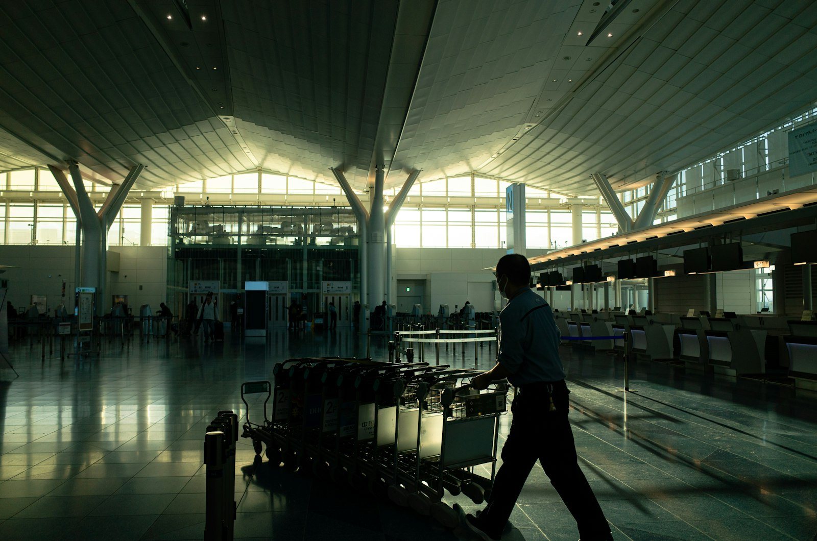Fever After International Travel: Always Worth Mentioning the Trip