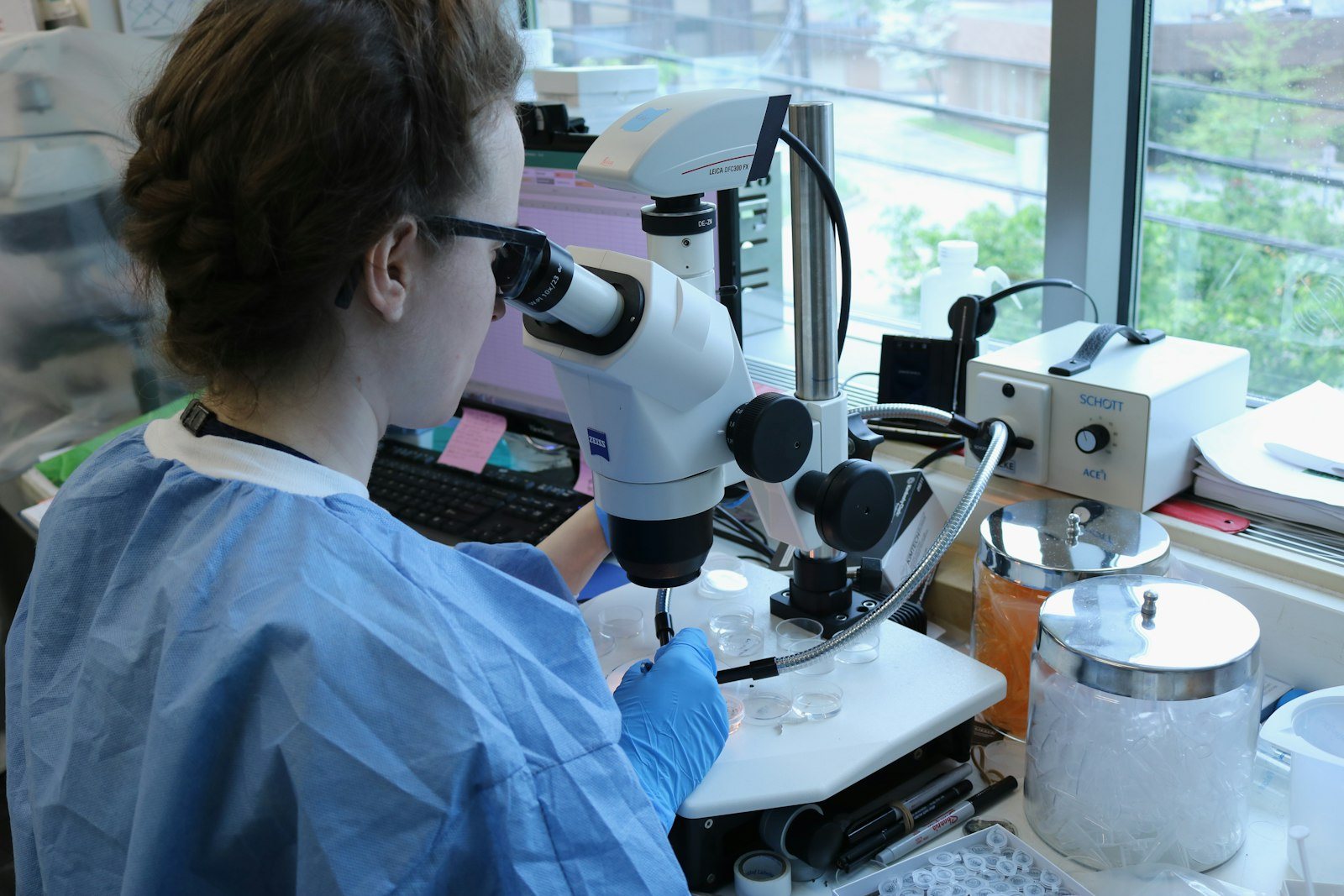 A scientist looking into a microscope