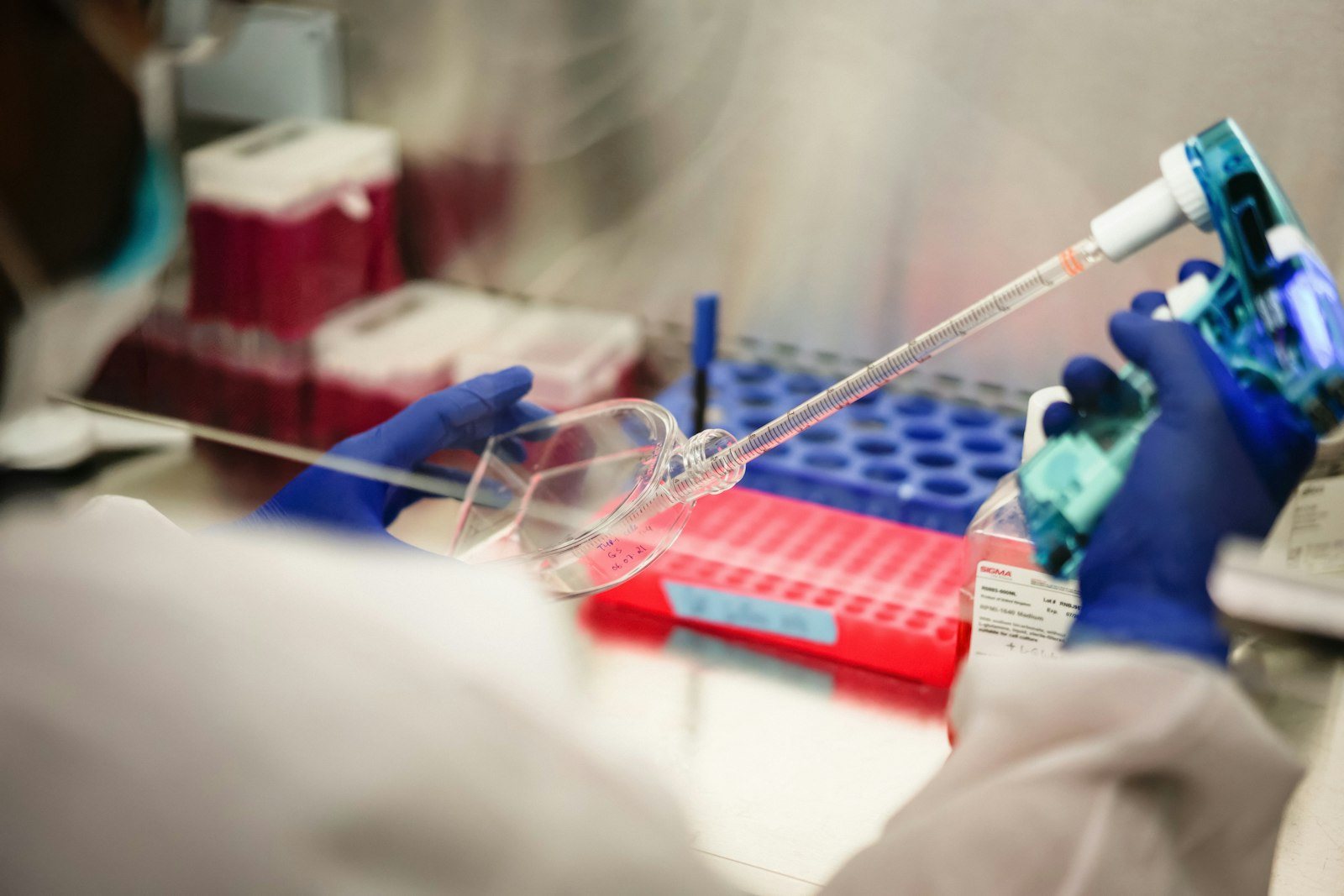 Gloved hands pipetting a sample into a rack of tubes