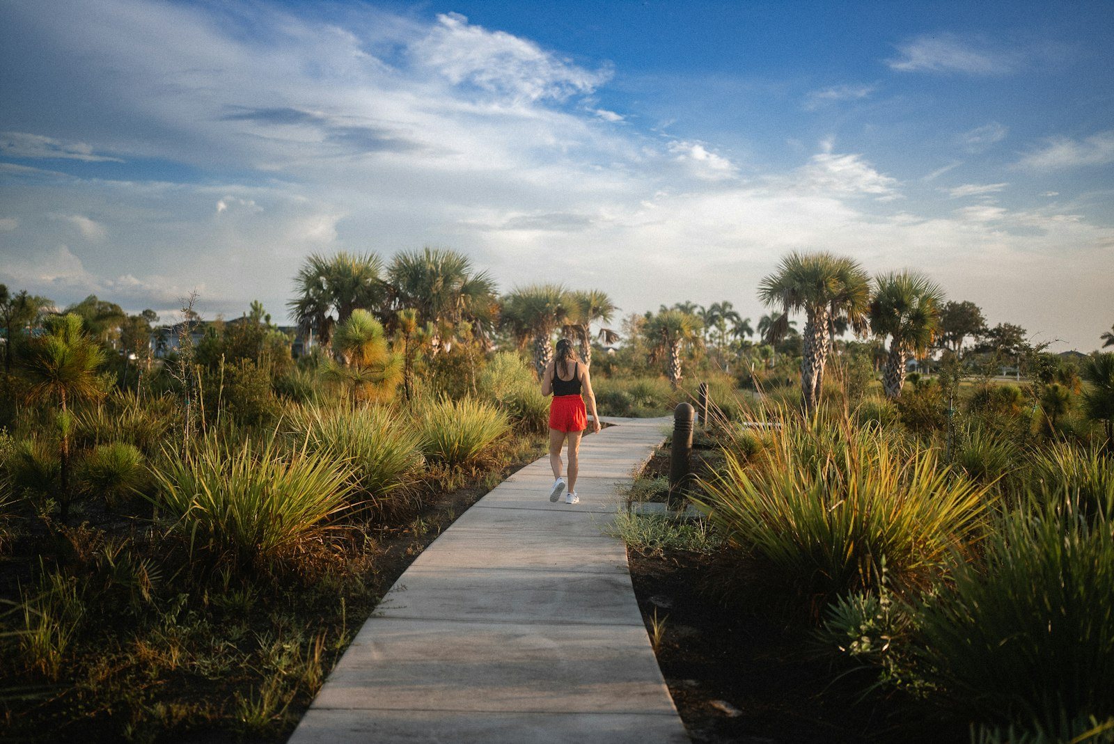 A person walking along a path through a green field