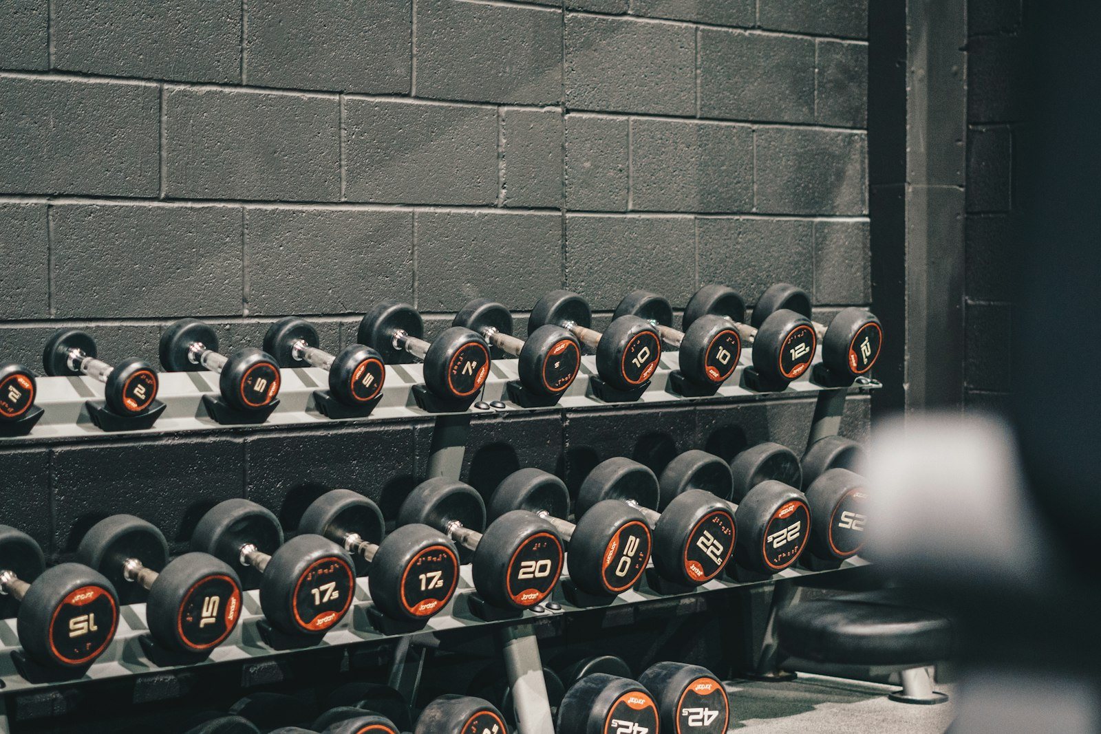 Dumbbells on a rack in a gym